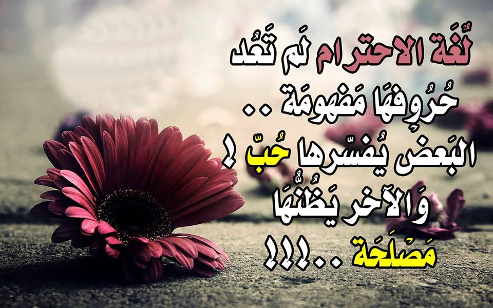 بوستات فيس بوك جديدة كلام