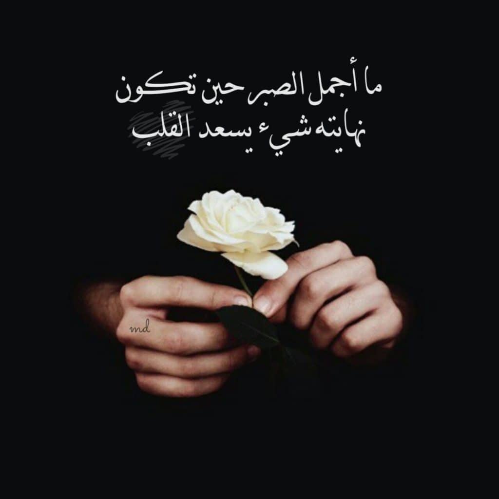 بوستات فيس بوك جديدة كلام
