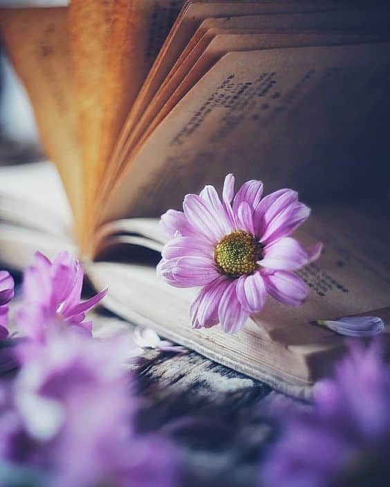 تعريف شعر الغزل في القرن الأول للهجرة