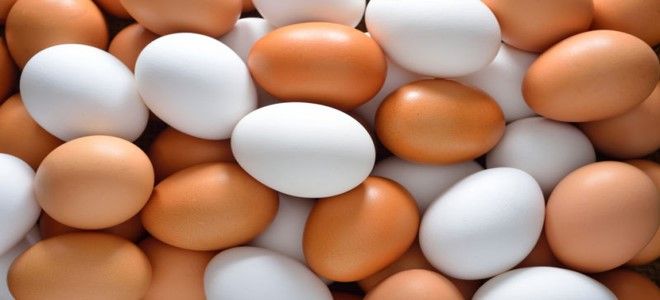 تفسير حلم البيض المسلوق والمقلي في المنام للحامل للمتزوجة و للبنت للعزباء