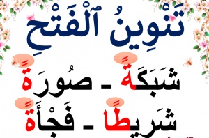 جمل فيها تنوين بالفتح