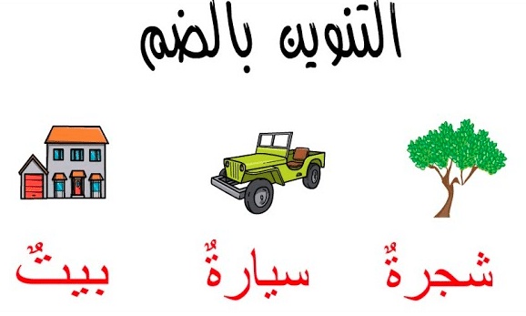 جمل فيها تنوين ضم