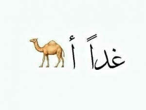 جمل فيها كلمة غدا