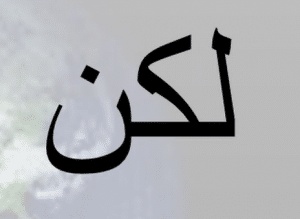 جمل فيها لكن