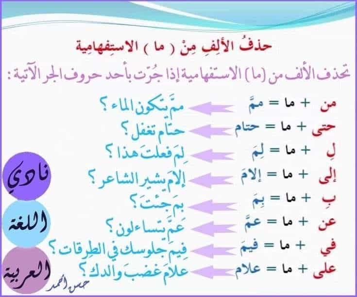 جمل فيها ما