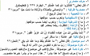 جمل فيها ما