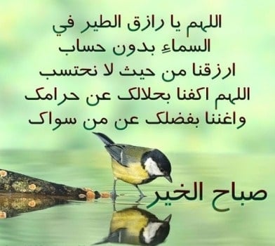 دعاء الصباح العفاسي