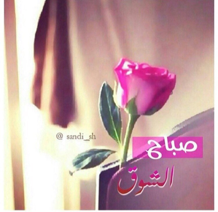 دعاء الصباح تويتر