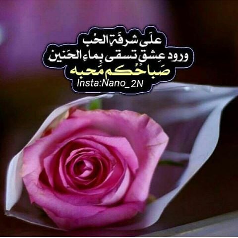 دعاء الصباح تويتر