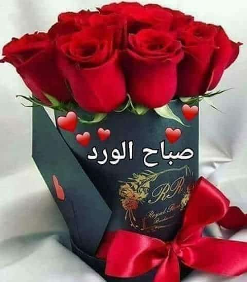 دعاء الصباح تويتر