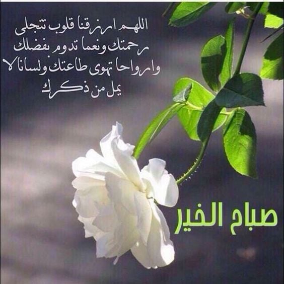 دعاء الصباح للاحبة