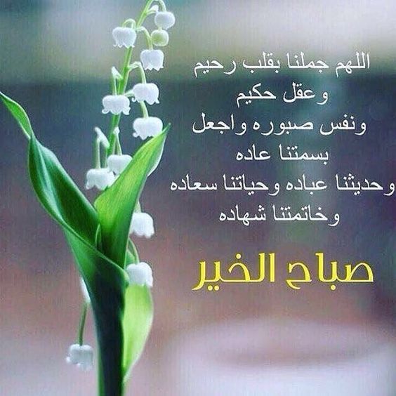 دعاء الصباح للاحبة