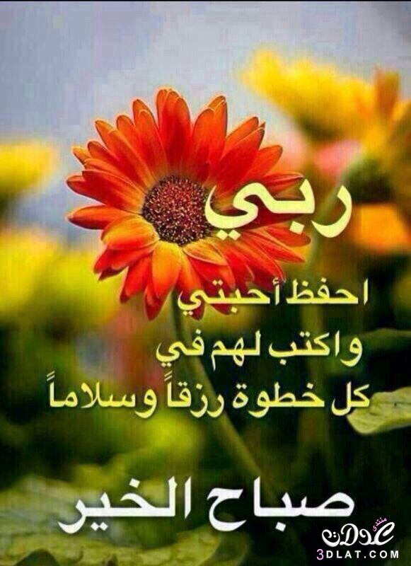 دعاء الصباح للحبيب