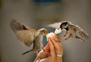 دعاء على من قطع رزقي