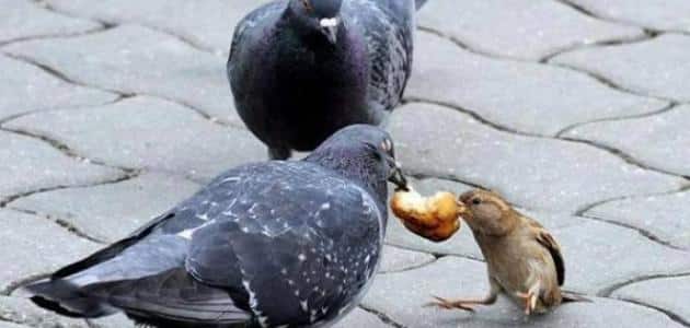 دعاء على من قطع رزقي