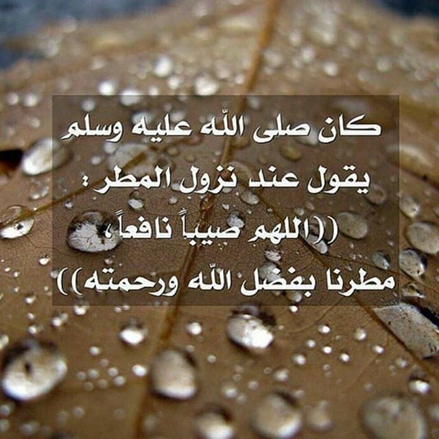 دعاء في المطر