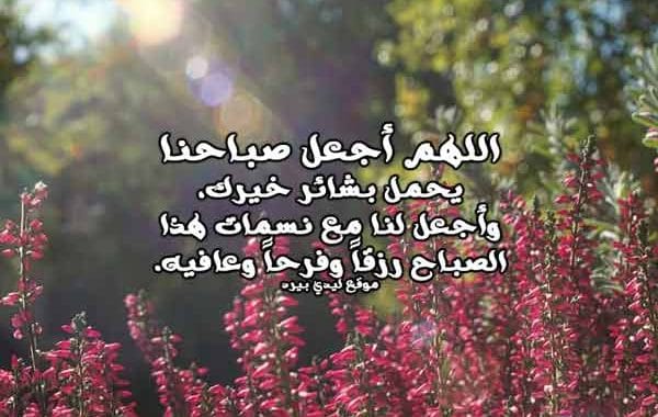 دعاء قصير : افضل دعاء قصير مستجاب، دعاء قصير ومفيد