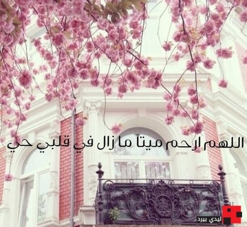 دعاء للأم المتوفية