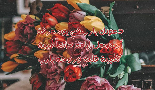 دعاء يوم عرفة للحبيب