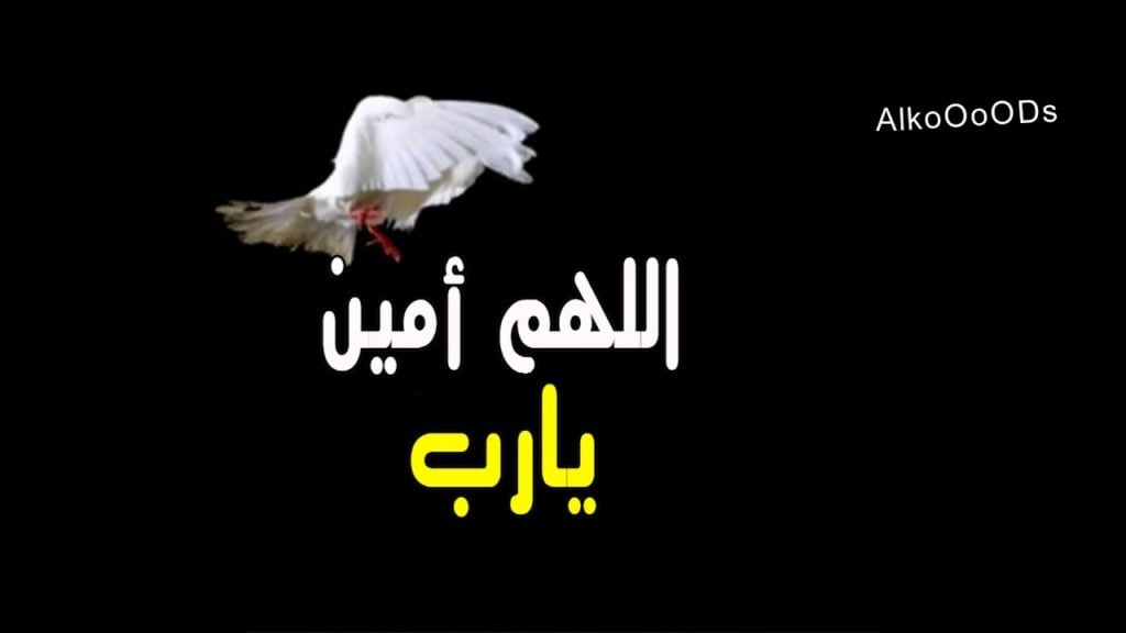 رد على دعاء جميل