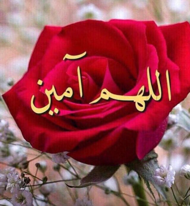 رد على دعاء جميل