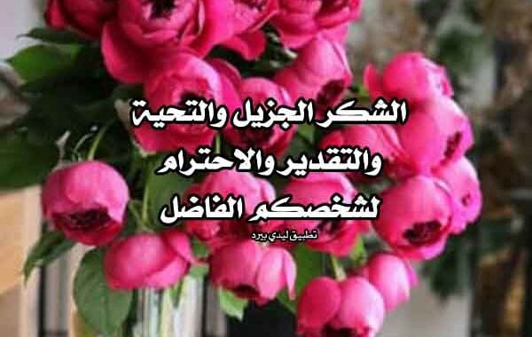 رد على دعاء جميل