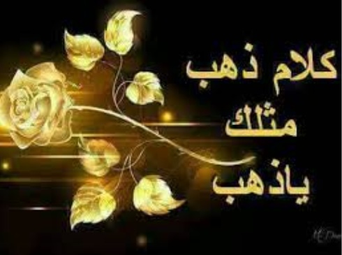 رد على كلام جميل
