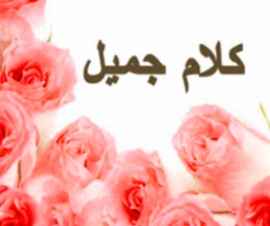 رد على كلام جميل