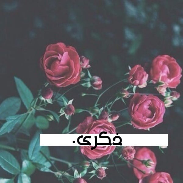 زخرفة اسم ذكرى بالانجليزي