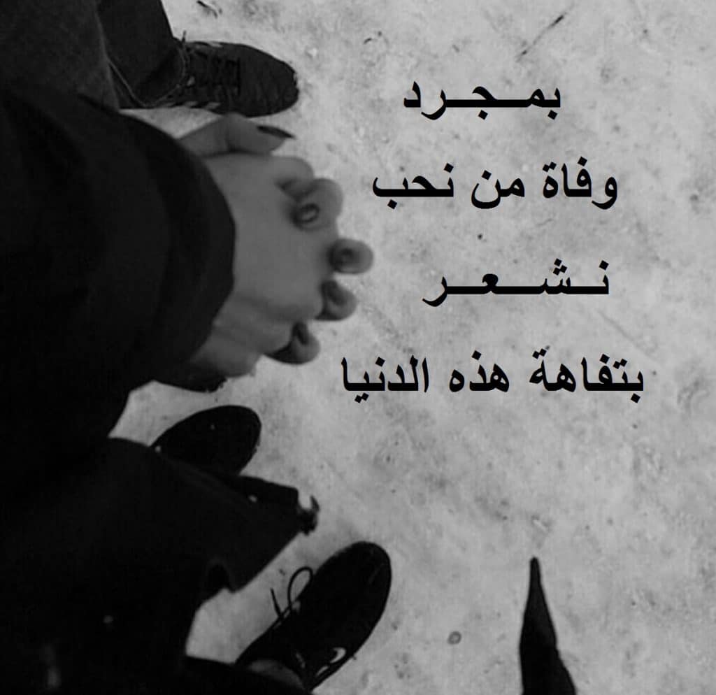 ستوري واتساب كلام