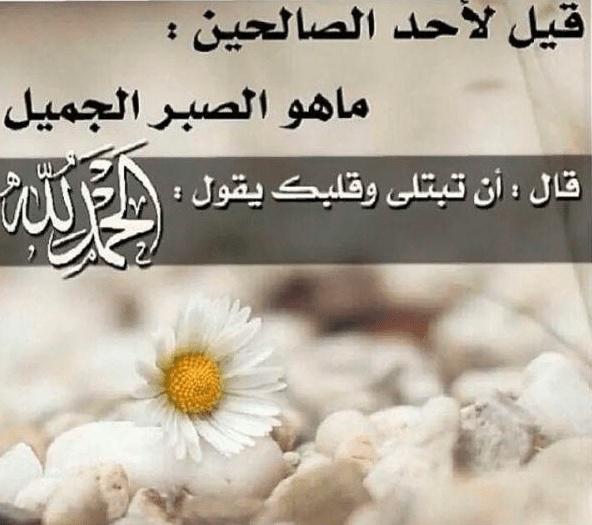 ستوري واتساب كلام