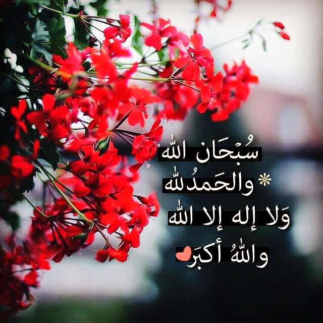 صورجميلة مكتوب عليها كلام الله