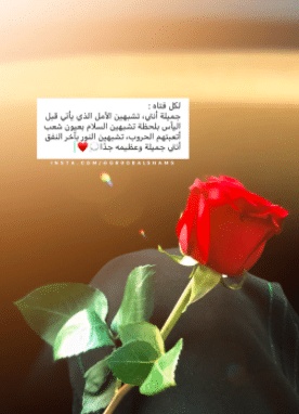 عبارات انتي جميلة تويتر