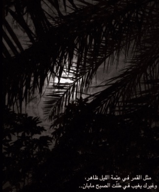 عبارات انتي قمر