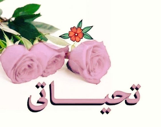 عبارات ترحيب قصيرة جدًا