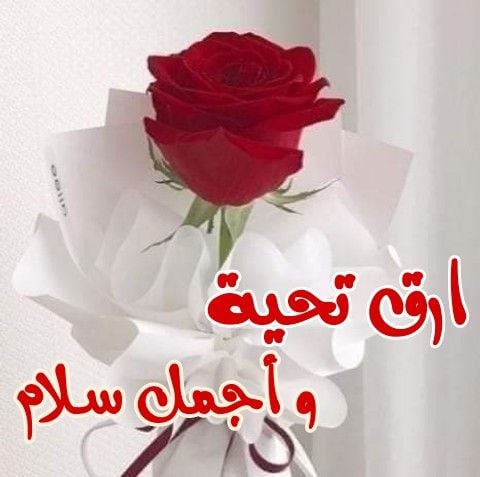 عبارات ترحيب قصيرة رسمية