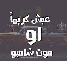 عبارات ترفيهية