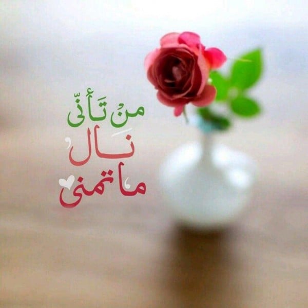 عبارات توديع التلاميذ