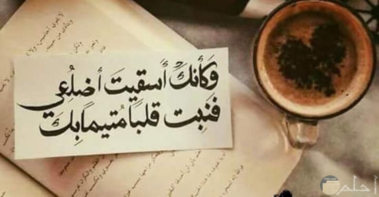 عبارات جميلة جداً