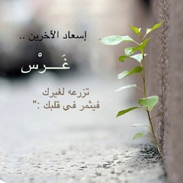 عبارات جميلة جداً