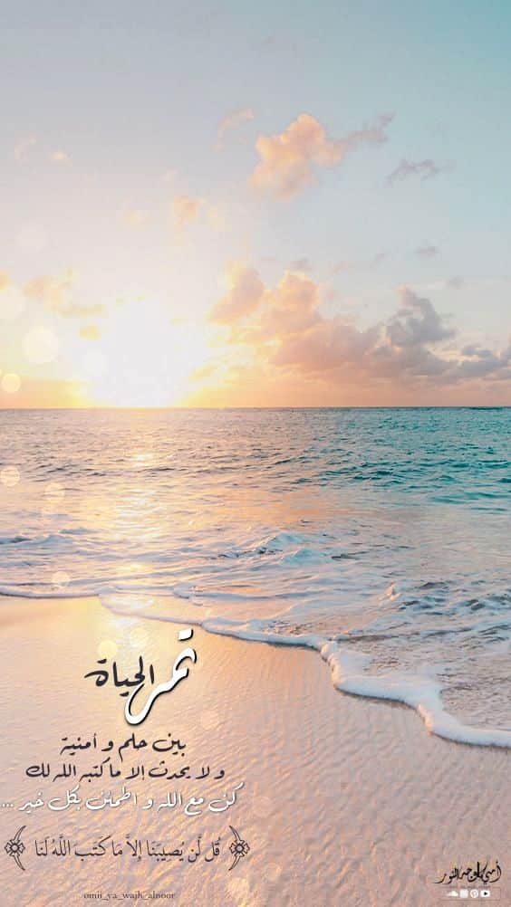عبارات جميلة عن البحر
