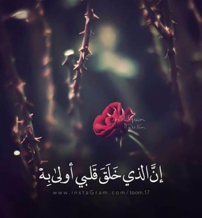 عبارات ذكر الله