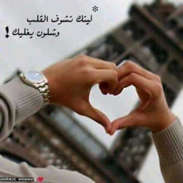 عبارات شات الغلا