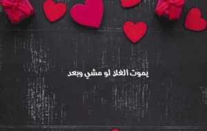 عبارات شات الغلا