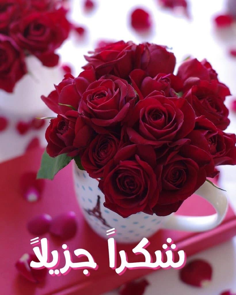 عبارات شكر وتقدير للأصدقاء