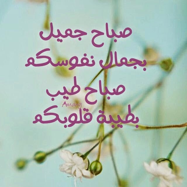 عبارات صباح الخير