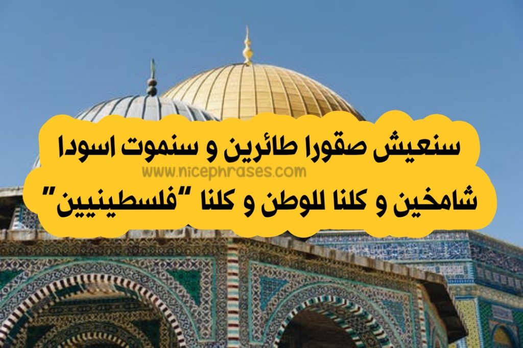 عبارات عن البنت الفلسطينية