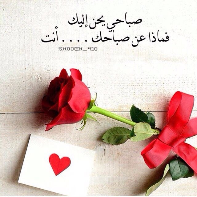 عبارات عن الحب صباح الخير