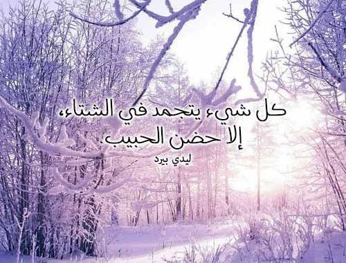 عبارات عن الحب في الشتاء