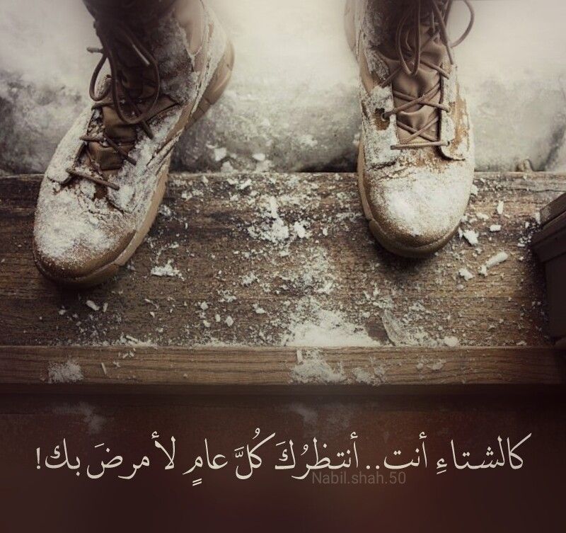 عبارات عن الحب في الشتاء
